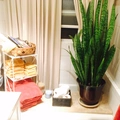 Room for rent in Mid Wilshire #9