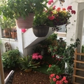 Room for rent in Mid Wilshire #14