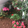 Room for rent in Mid Wilshire #15