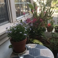 Room for rent in Mid Wilshire #33