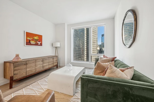 1 bedroom apartment for rent in Downtown Brooklyn - Brooklyn, New York