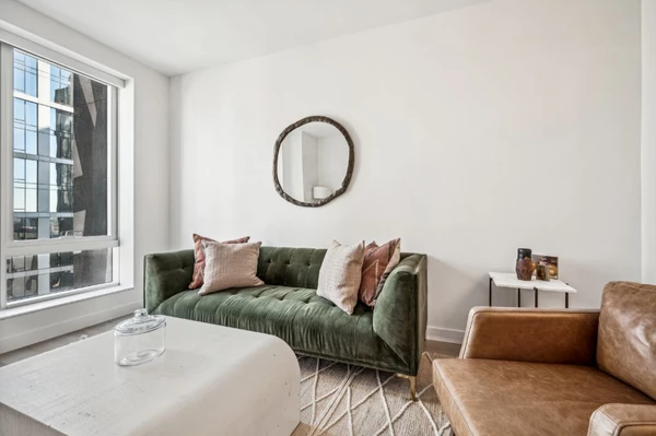 1 bedroom apartment for rent in Downtown Brooklyn - Brooklyn, New York