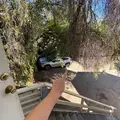 Room for rent in Echo Park #13