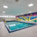 Room for rent in Mississauga #4