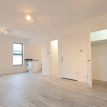 1 bedroom apartment for rent in Williamsburg - Brooklyn, New York