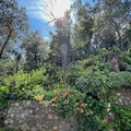 Room for rent in Northeast Los Angeles #2