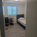 Room for rent in University City North #10