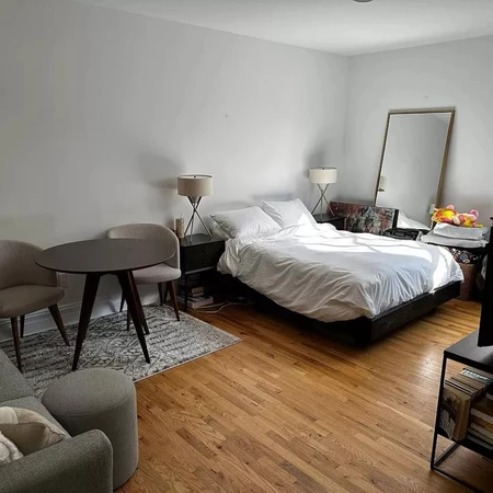 Studio Apartment for rent in Brooklyn Heights - Brooklyn, New York