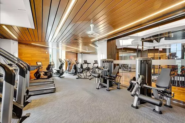 Studio Apartment for rent in Roosevelt Island - Manhattan, New York