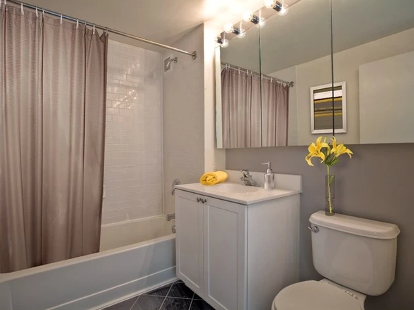 2 bedrooms apartment for rent in LIC - Queens, New York