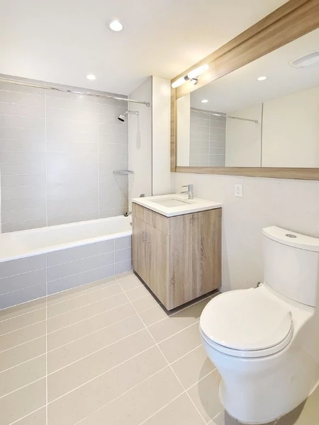 1 bedroom apartment for rent in LIC - Queens, New York