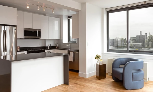 1 bedroom apartment for rent in LIC - Queens, New York