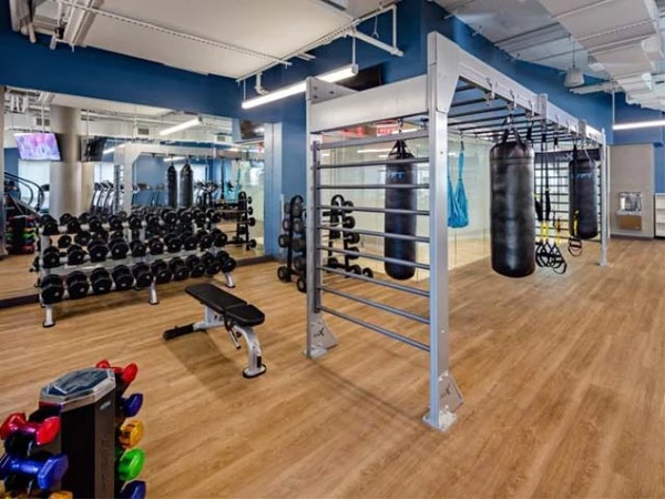 Studio Apartment for rent in LIC - Queens, New York