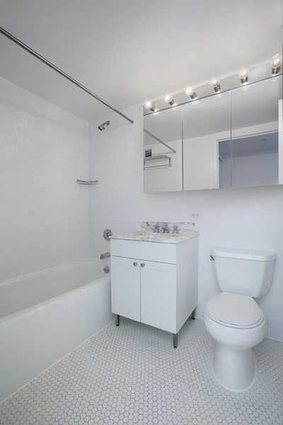 1 bedroom apartment for rent in LIC - Queens, New York