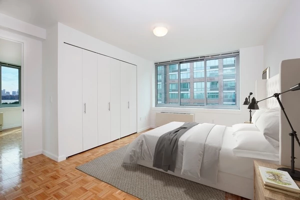 1 bedroom apartment for rent in LIC - Queens, New York