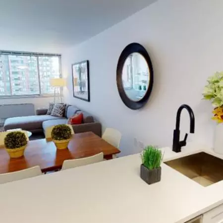 1 bedroom apartment for rent in Roosevelt Island - Manhattan, New York