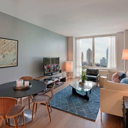 1 bedroom apartment for rent in LIC - Queens, New York