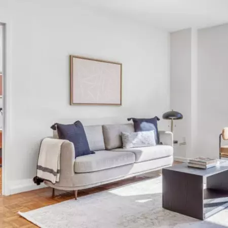1 bedroom apartment for rent in LIC - Queens, New York