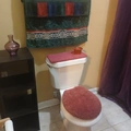 Room for rent in West End #11