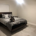 Room for rent in Margate #2