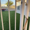 Room for rent in Mesa #4