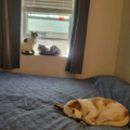 Room for rent in Takoma #9