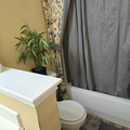 Room for rent in Frisco #12