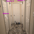 Room for rent in Frisco #10