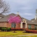 Room for rent in Frisco #1
