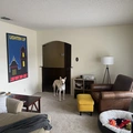 Room for rent in North Central #2