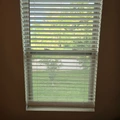 Room for rent in Ocoee #3
