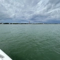 Room for rent in Port Orange #1