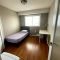 Room for rent in Somerset #1