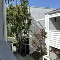Room for rent in Sherman Oaks #11
