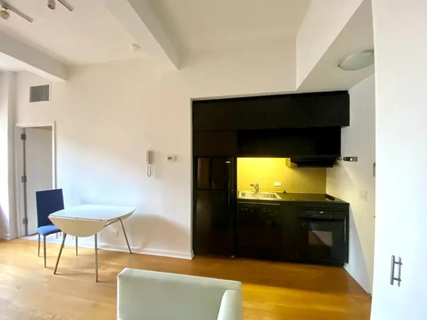 Studio Apartment for rent in FiDi - Manhattan, New York