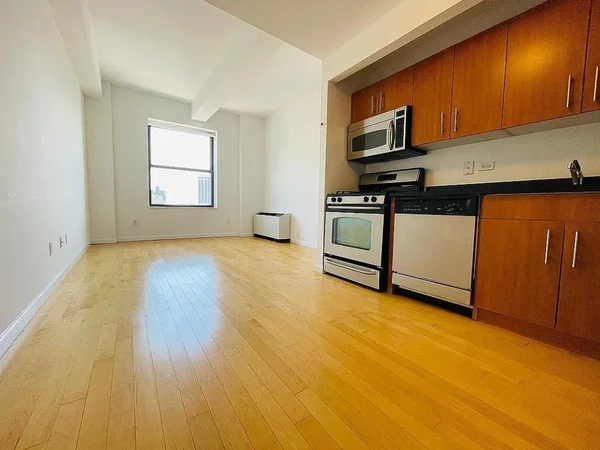 Studio Apartment for rent in FiDi - Manhattan, New York