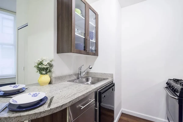 Studio Apartment for rent in FiDi - Manhattan, New York
