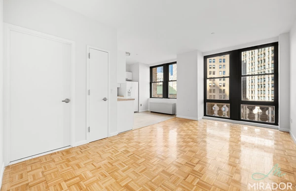 1 bedroom apartment for rent in FiDi - Manhattan, New York