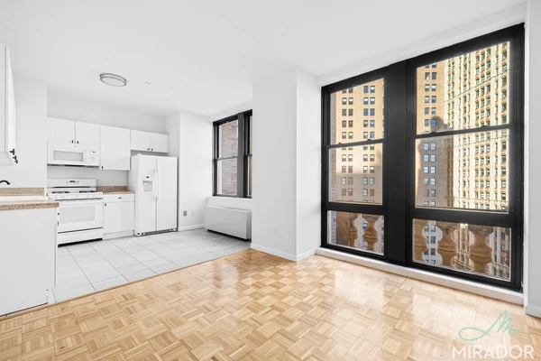 1 bedroom apartment for rent in FiDi - Manhattan, New York