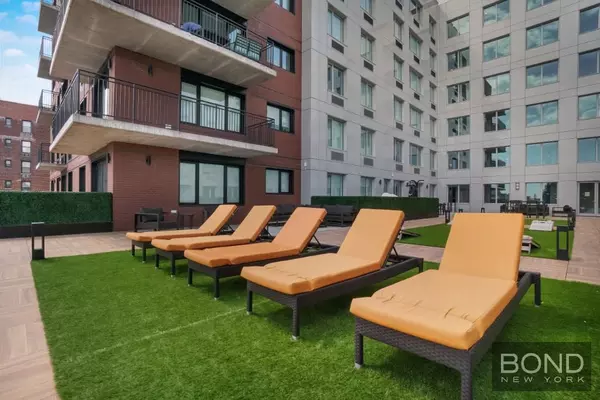 1 bedroom apartment for rent in Jamaica - Queens, New York