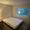 Room for rent in Walnut Creek #6