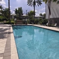 Room for rent in Fort Lauderdale #13