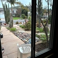 Room for rent in Rancho Bernardo #2