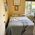 Room for rent in Rancho Bernardo #8