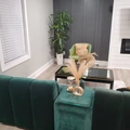 Room for rent in Far Eastside #1