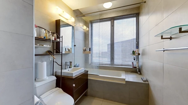 1 bedroom apartment for rent in LIC - Queens, New York