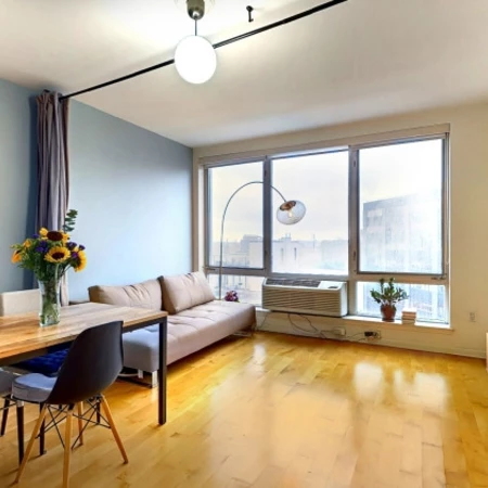 1 bedroom apartment for rent in LIC - Queens, New York