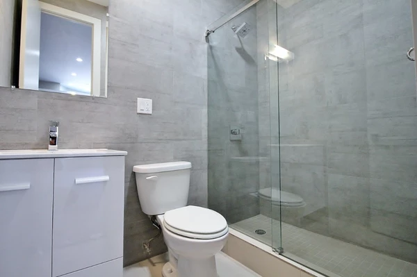 1 bedroom apartment for rent in Flatbush Ditmas Park - Brooklyn, New York