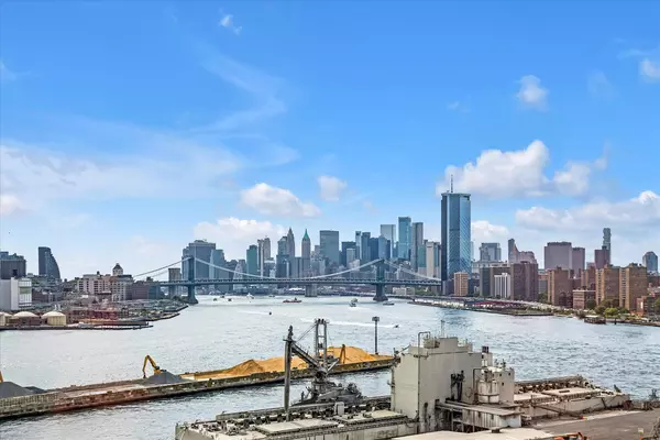 1 bedroom apartment for rent in Williamsburg - Brooklyn, New York