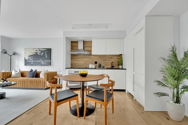 1 bedroom apartment for rent in Downtown Brooklyn - Brooklyn, New York
